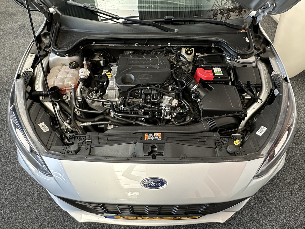 38270130-50.jpg