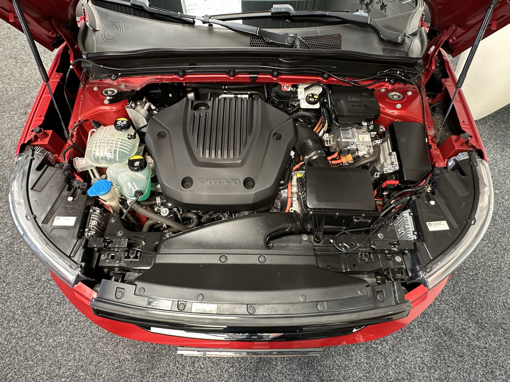 45278820-66.jpg