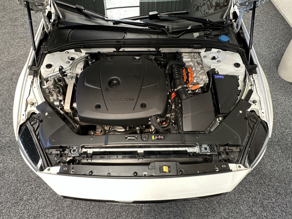 45995217-65.jpg