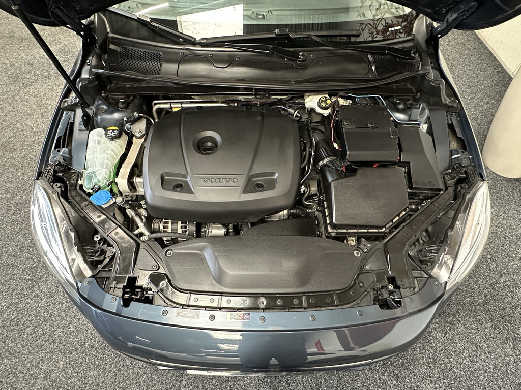 46254111-49.jpg