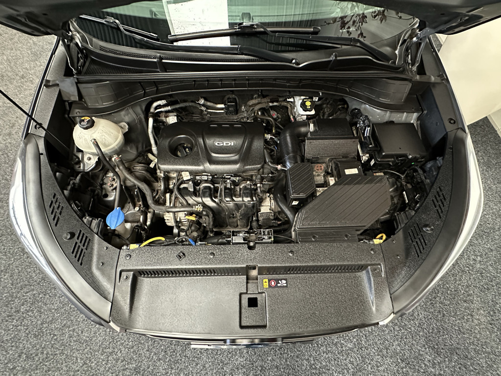 46779936-51.jpg