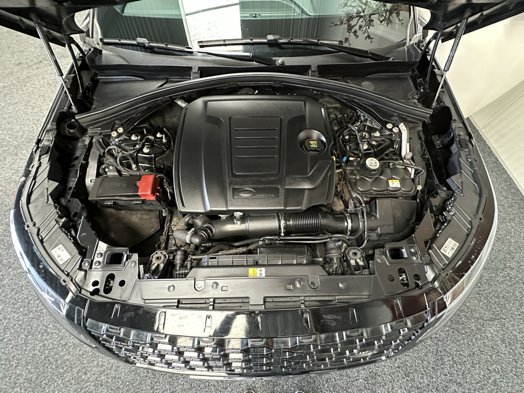 46990464-63.jpg