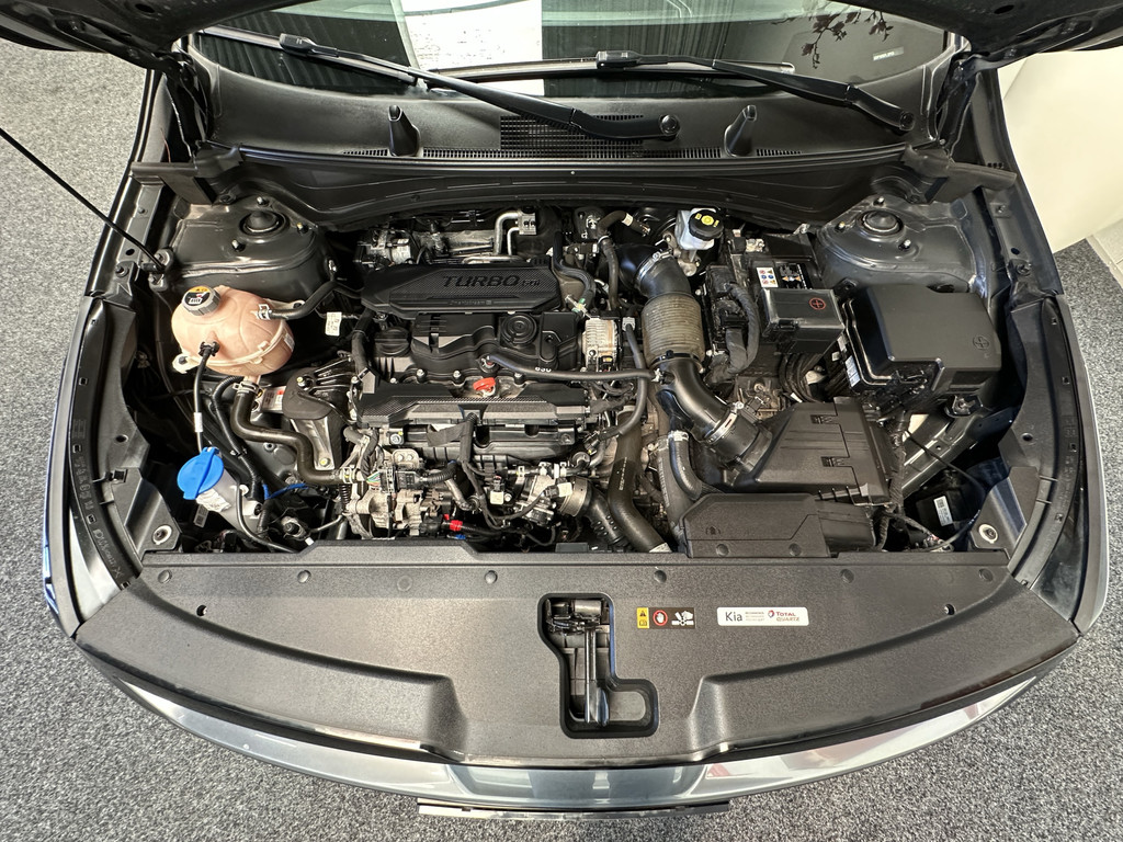 47316781-71.jpg