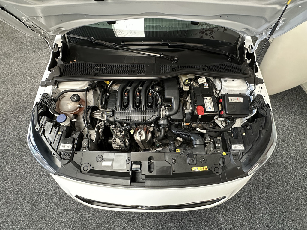 48649295-51.jpg
