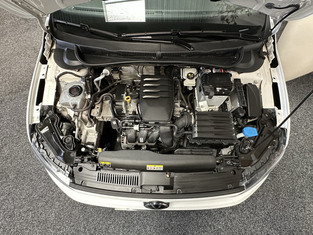 48890967-44.jpg