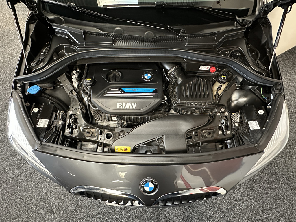 50253984-44.jpg