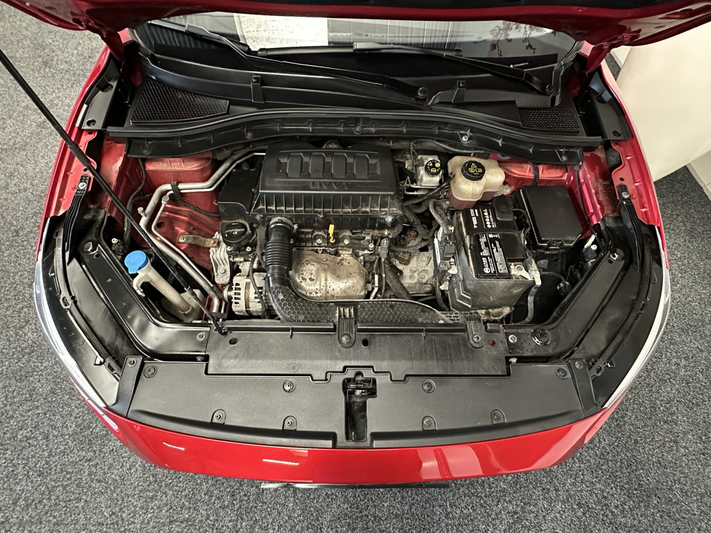 50356818-55.jpg