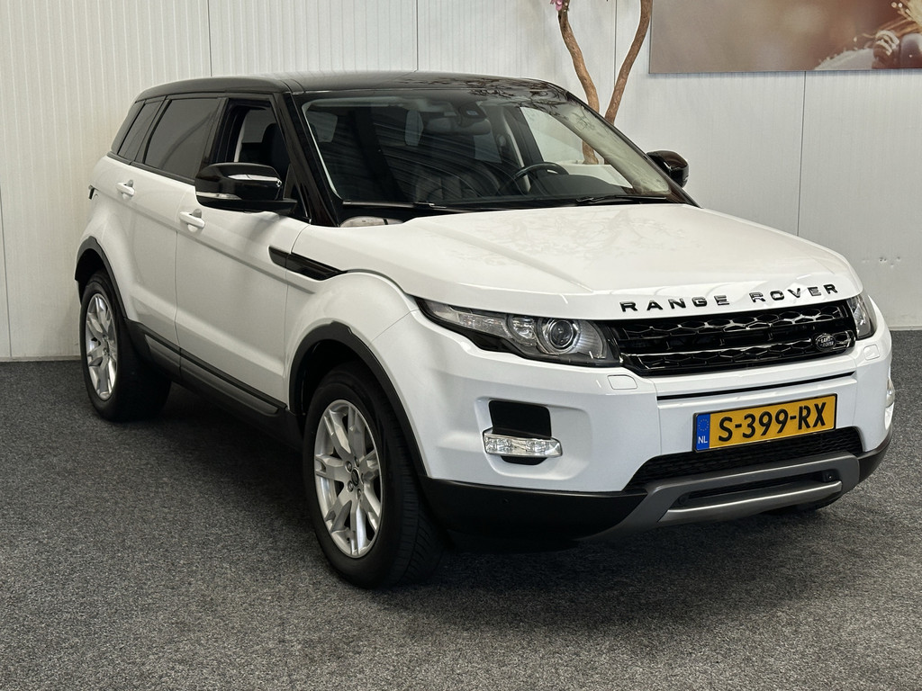 51916393-1.jpg