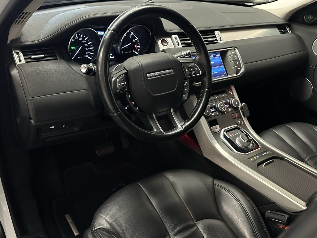 51916393-10.jpg