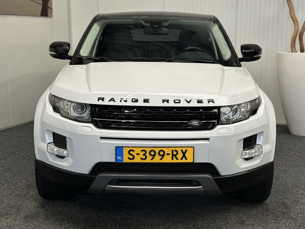 51916393-2.jpg