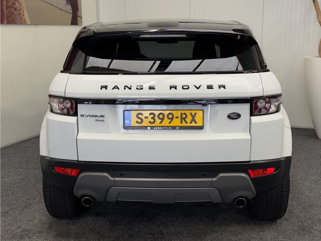 51916393-6.jpg