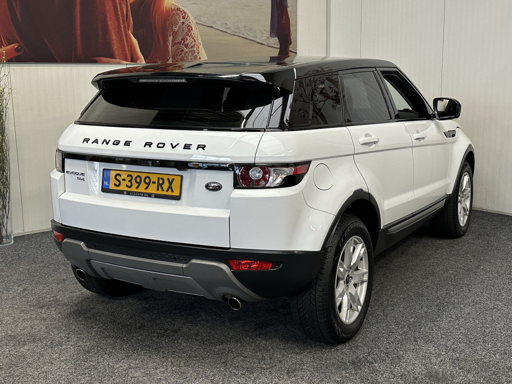 51916393-7.jpg