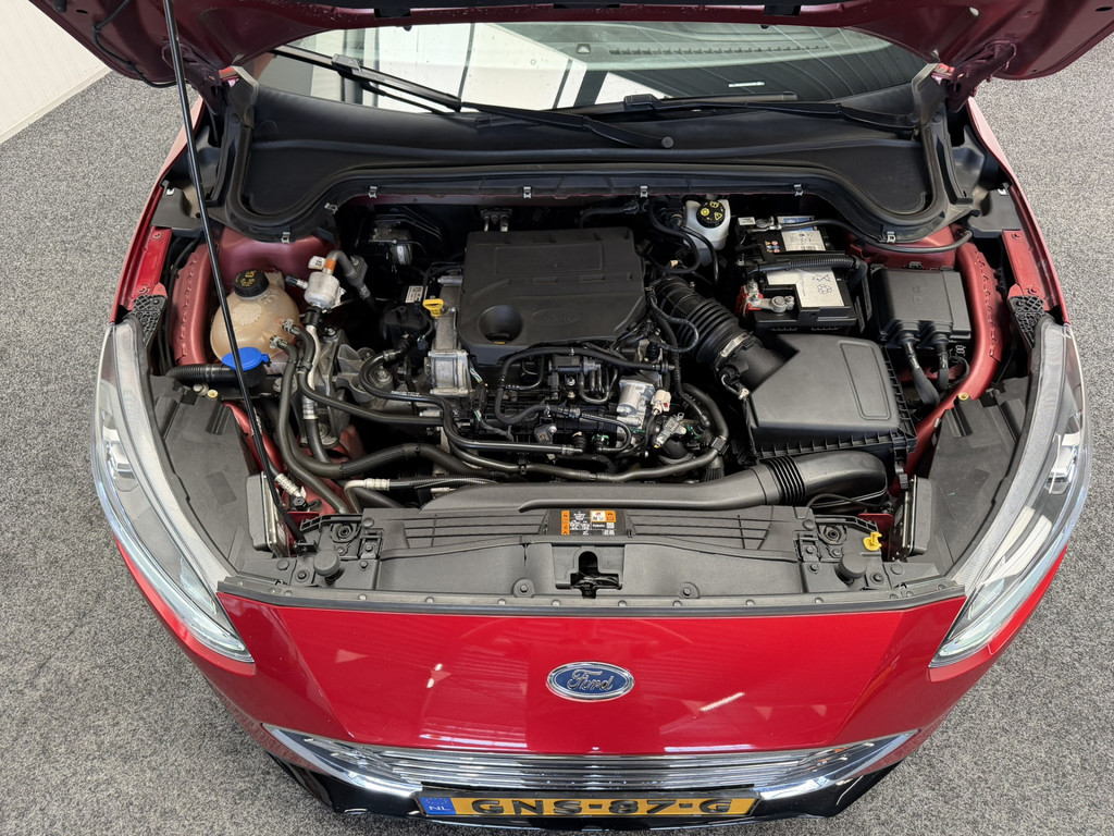 54764835-54.jpg
